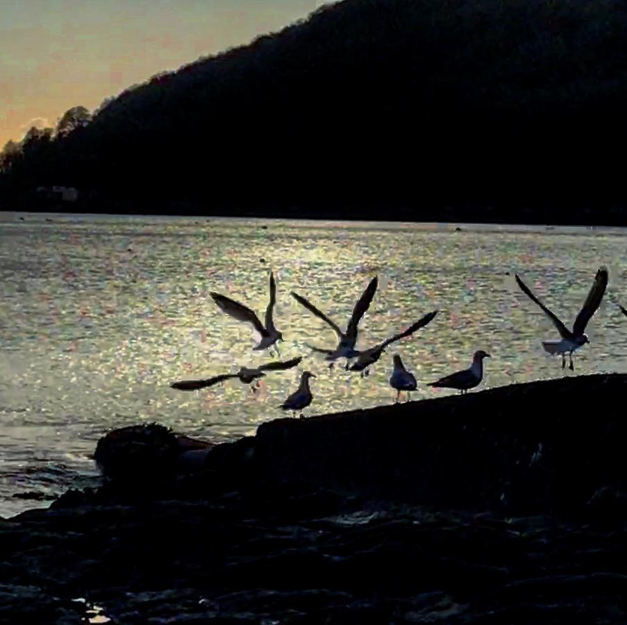 Westcroft Guesthouse Boutique B & B Cawsand Buitenkant foto